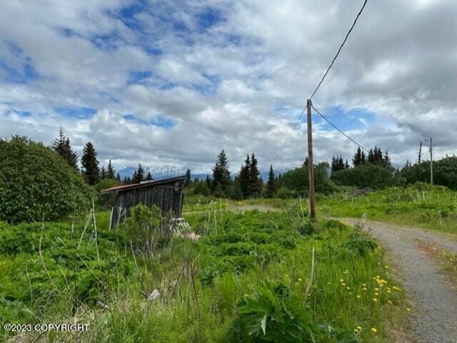 51405 Mossberry Ave, Homer, AK 99603 - photo 44