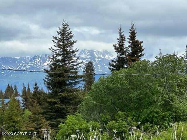 51405 Mossberry Ave, Homer, AK 99603 - photo 3