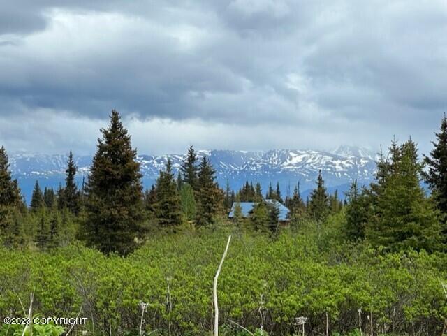51405 Mossberry Ave, Homer, AK 99603 - photo 4
