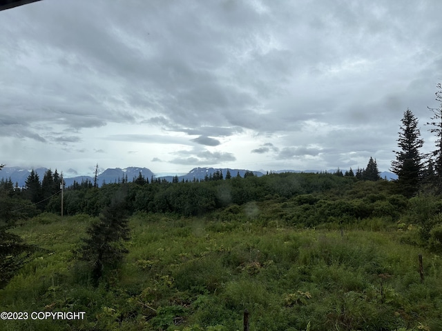 51405 Mossberry Ave, Homer, AK 99603 - photo 45