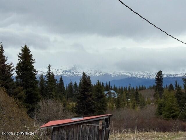 51405 Mossberry Ave, Homer, AK 99603 - photo 46