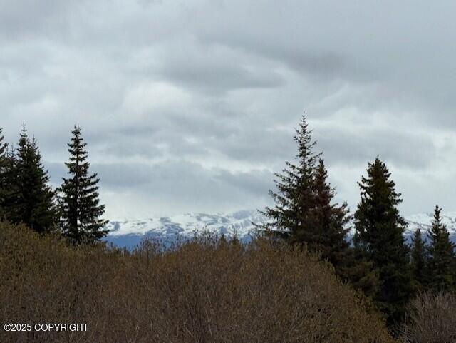 51405 Mossberry Ave, Homer, AK 99603 - photo 47