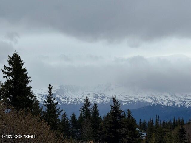 51405 Mossberry Ave, Homer, AK 99603 - photo 49