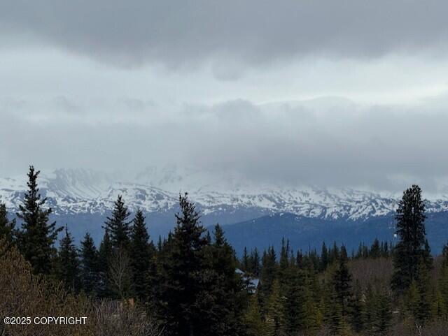 51405 Mossberry Ave, Homer, AK 99603 - photo 50