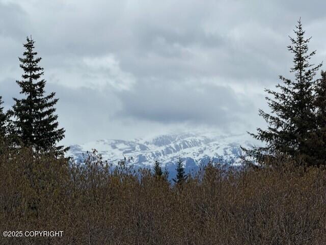 51405 Mossberry Ave, Homer, AK 99603 - photo 51