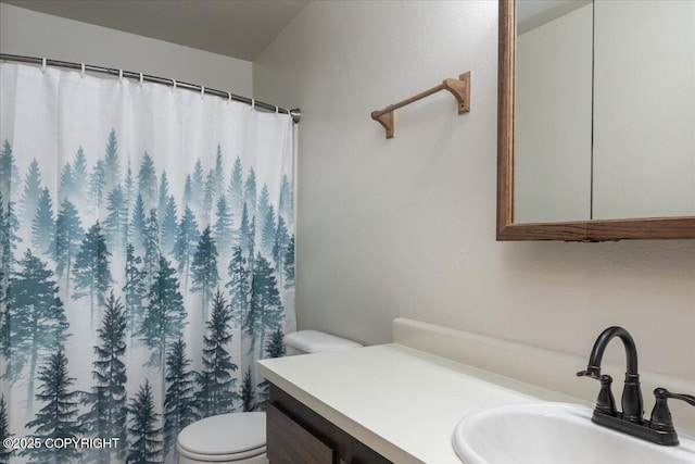 3432 Conifer Dr, North Pole, AK 99705 - bathroom featuring toilet, vanity, and a shower with curtain