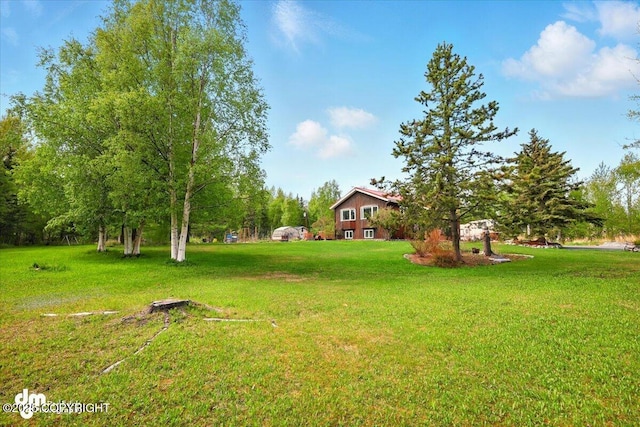 650 N Esty Dr, Palmer, AK 99645 - view of grassy yard