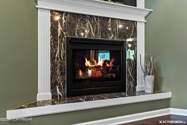 12621 Bona Kim Loop # 4, Anchorage, AK 99515 - detailed view of a fireplace, baseboards, and wood finished floors