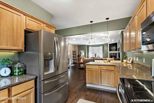 12621 Bona Kim Loop # 4, Anchorage, AK 99515 - kitchen with stainless steel appliances, open floor plan, a ceiling fan, dark wood-type flooring, and a warm lit fireplace