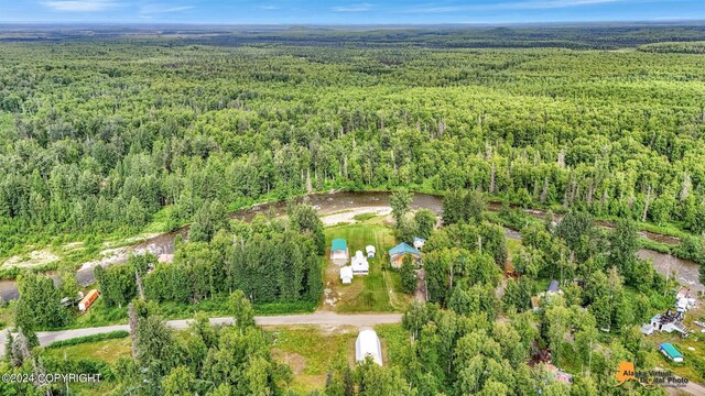 18990 W Willow Cir, Willow, AK 99688