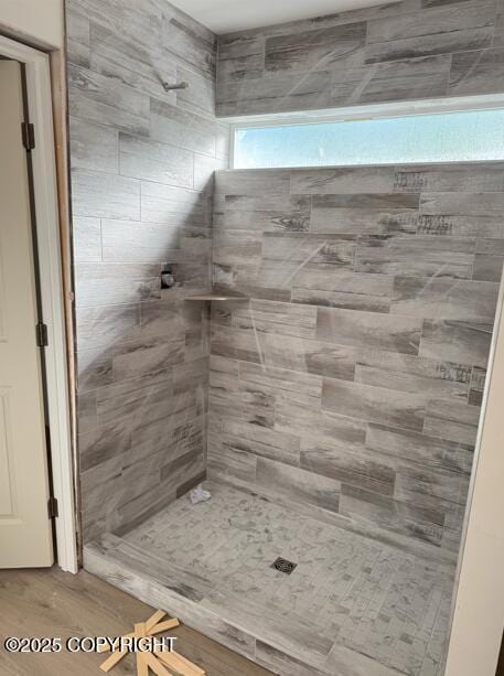 6600 S Settlers Bay Dr, Wasilla, AK 99654 - full bath featuring tiled shower and wood finished floors