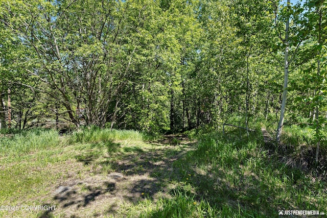 1551 S Oat St, Wasilla, AK 99654 - view of nature