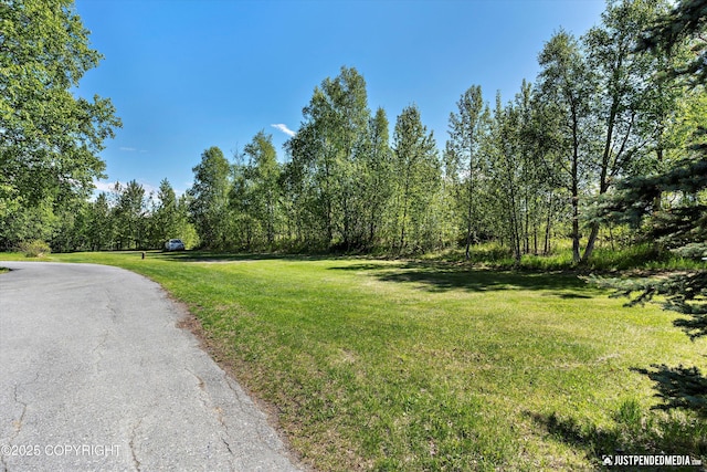 1551 S Oat St, Wasilla, AK 99654 - view of asphalt road