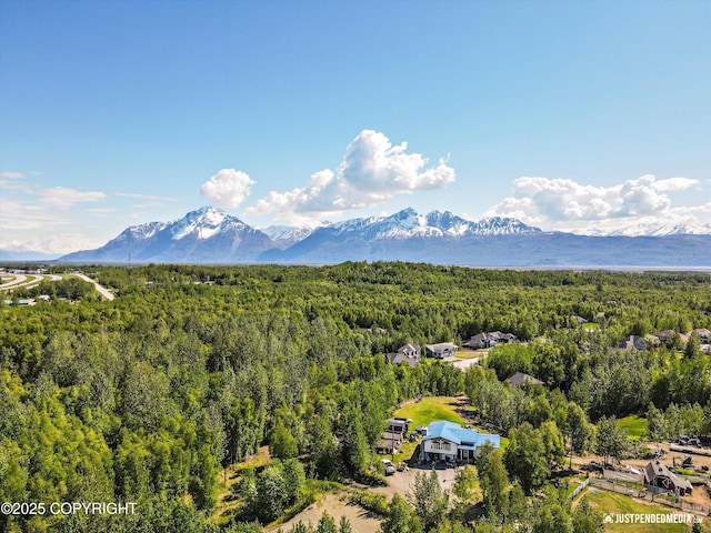 1551 S Oat St, Wasilla, AK 99654 - view of mountain backdrop featuring a forest