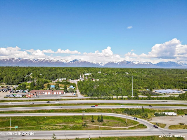 1551 S Oat St, Wasilla, AK 99654 - view of mountain backdrop featuring a heavily wooded area