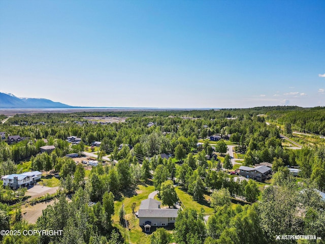1551 S Oat St, Wasilla, AK 99654 - bird's eye view of a forest