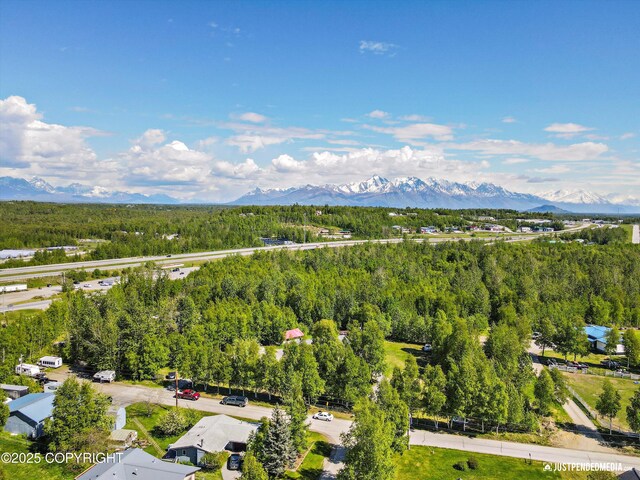 1551 S Oat St, Wasilla, AK 99654 - drone / aerial view of mountains and a forest