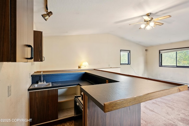 7101 Omalley Rd, Anchorage, AK 99507 - indoor bar with vaulted ceiling, a ceiling fan, a baseboard radiator, rail lighting, and carpet