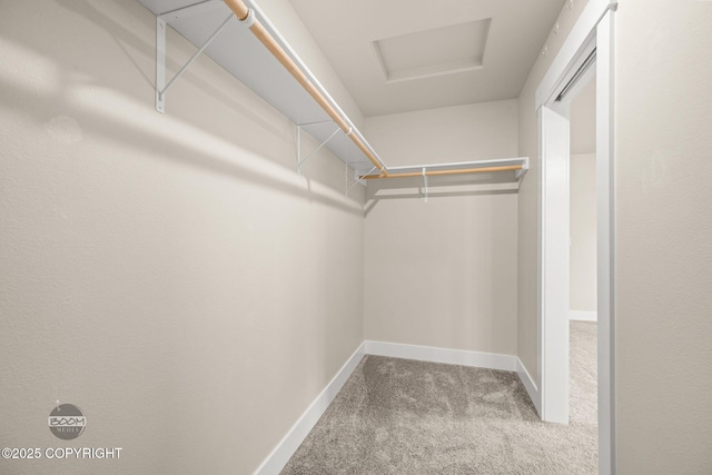 12248 Vista Ridge Loop # 30, Eagle River, AK 99577 - spacious closet featuring carpet floors