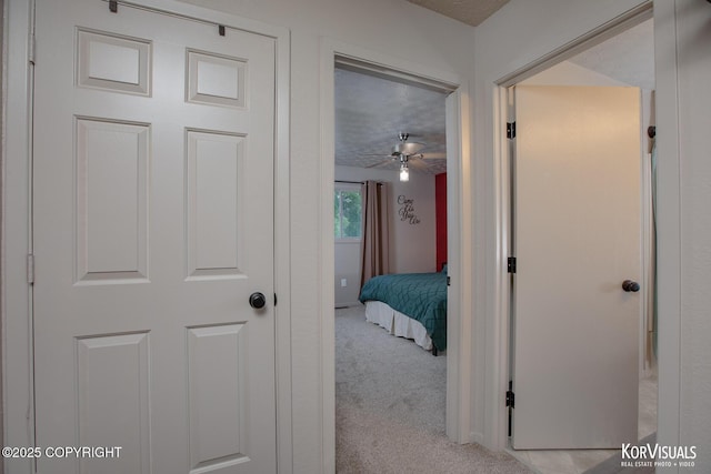 767 N Yakima St, Wasilla, AK 99654 - hallway featuring light carpet and a textured ceiling