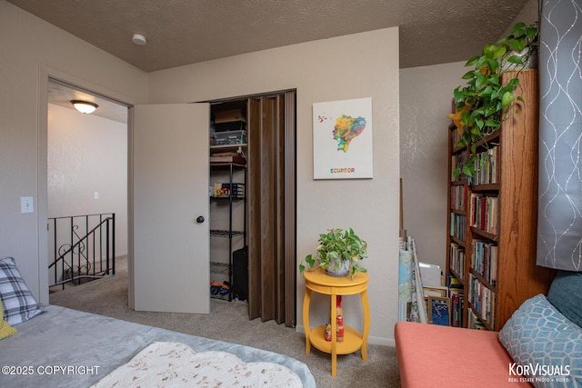 767 N Yakima St, Wasilla, AK 99654 - carpeted bedroom featuring a closet