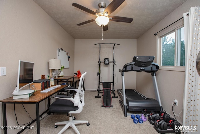 767 N Yakima St, Wasilla, AK 99654 - workout area with a ceiling fan, carpet, and a textured ceiling