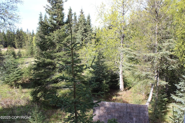 63760 Elizabeth Ave, Ninilchik, AK 99639 - view of wooded area