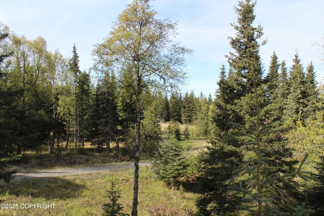 63760 Elizabeth Ave, Ninilchik, AK 99639 - view of wooded area