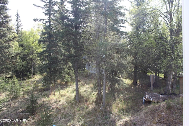 63760 Elizabeth Ave, Ninilchik, AK 99639 - view of wooded area