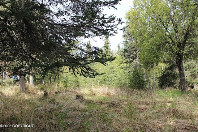 63760 Elizabeth Ave, Ninilchik, AK 99639 - view of tree filled area