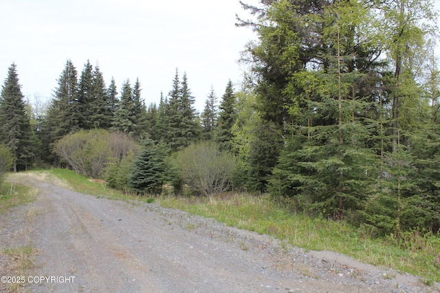 63760 Elizabeth Ave, Ninilchik, AK 99639 - view of street with a forest view