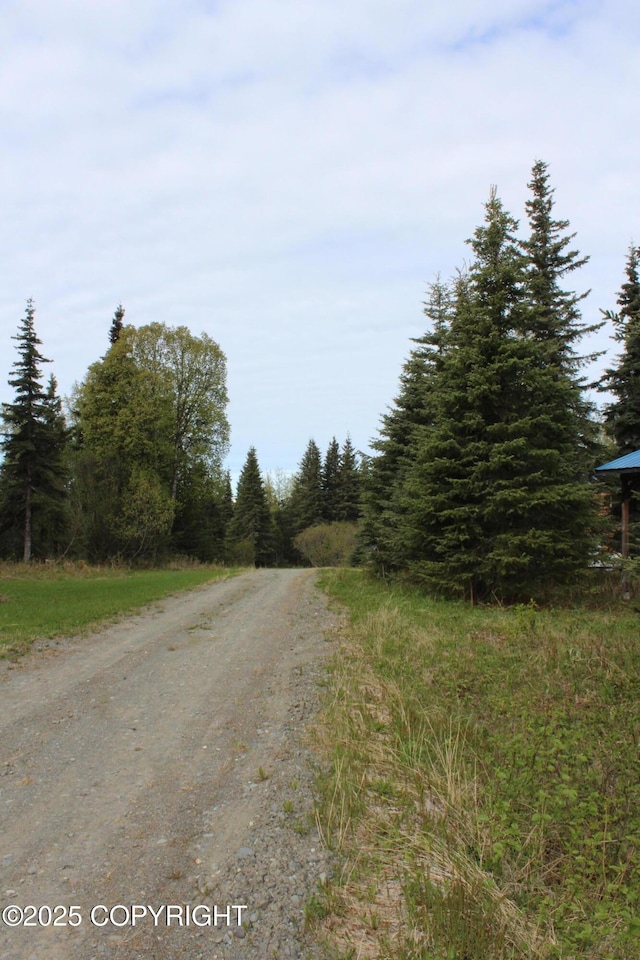 63760 Elizabeth Ave, Ninilchik, AK 99639 - view of dirt / gravel road