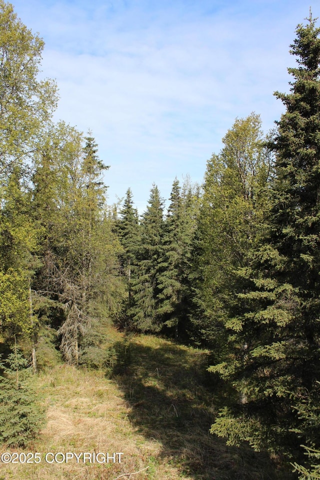 63760 Elizabeth Ave, Ninilchik, AK 99639 - view of wooded area