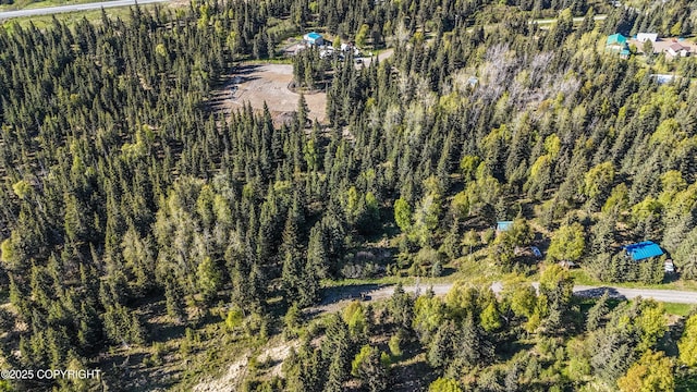 63760 Elizabeth Ave, Ninilchik, AK 99639 - aerial view of property's location