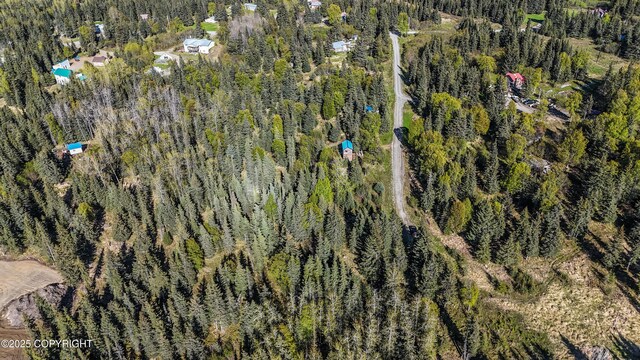63760 Elizabeth Ave, Ninilchik, AK 99639 - aerial view of property and surrounding area featuring a forest