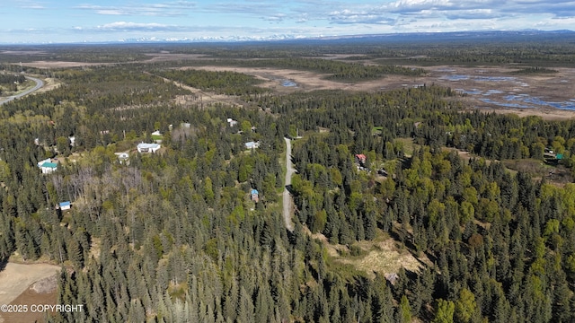 63760 Elizabeth Ave, Ninilchik, AK 99639 - aerial view of property and surrounding area with a forest