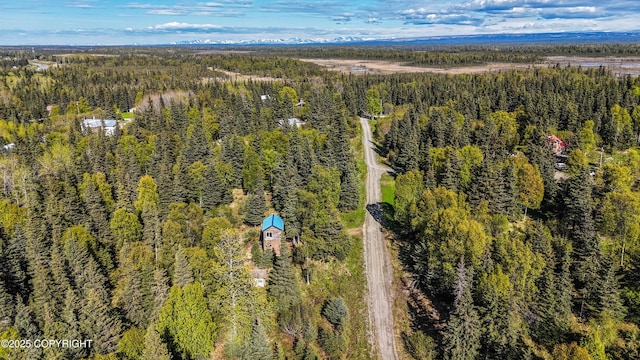 63760 Elizabeth Ave, Ninilchik, AK 99639 - drone / aerial view of a heavily wooded area