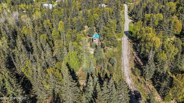 63760 Elizabeth Ave, Ninilchik, AK 99639 - drone / aerial view of a forest