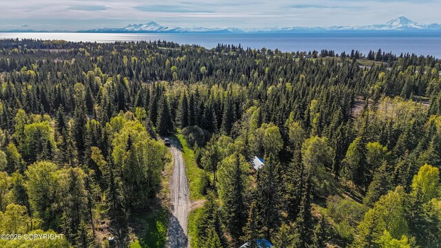 63760 Elizabeth Ave, Ninilchik, AK 99639 - bird's eye view of a water and mountain view and a heavily wooded area