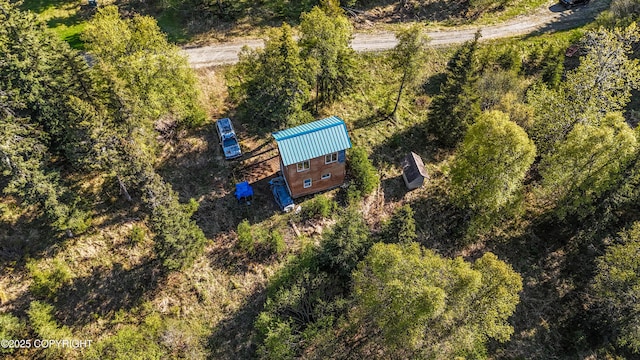 63760 Elizabeth Ave, Ninilchik, AK 99639 - drone / aerial view
