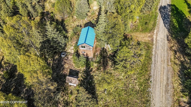 63760 Elizabeth Ave, Ninilchik, AK 99639 - aerial view of property and surrounding area