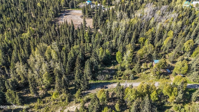 63760 Elizabeth Ave, Ninilchik, AK 99639 - aerial view of a forest