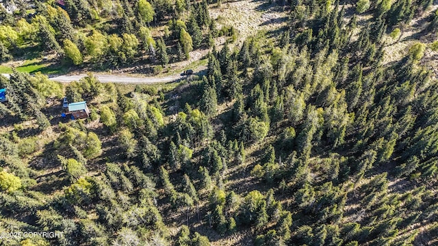 63760 Elizabeth Ave, Ninilchik, AK 99639 - aerial view of property and surrounding area