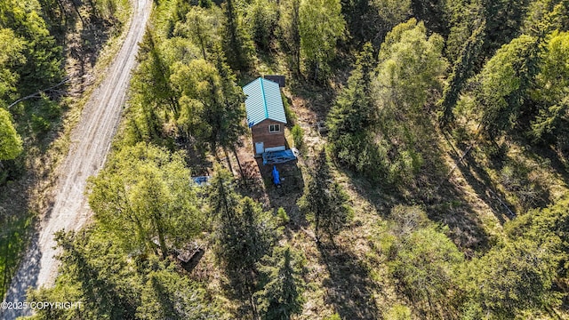 63760 Elizabeth Ave, Ninilchik, AK 99639 - view of subject property