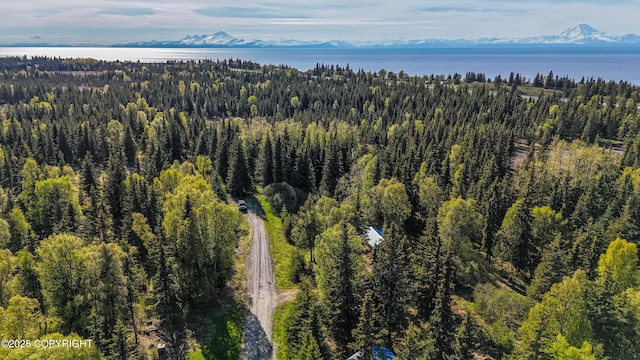63760 Elizabeth Ave, Ninilchik, AK 99639 - bird's eye view of a water and mountain view and a heavily wooded area