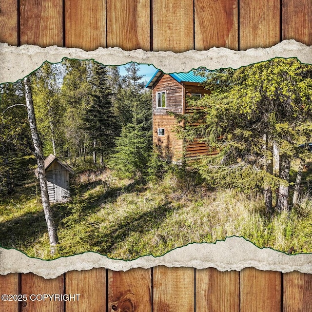 63760 Elizabeth Ave, Ninilchik, AK 99639 - view of yard