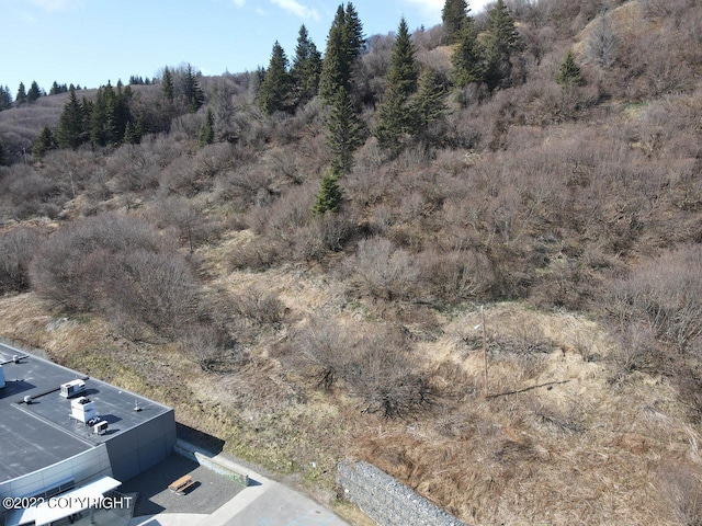 4323 Main St, Homer, AK 99603