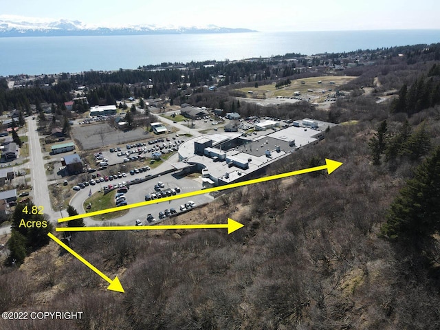 4323 Main St, Homer, AK 99603