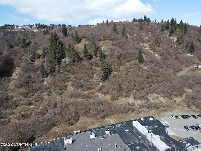 4323 Main St, Homer, AK 99603