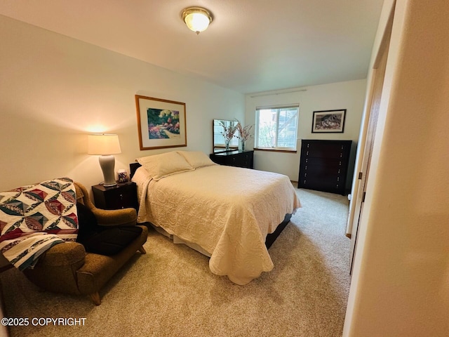 4259 Shirley Ct, Homer, AK 99603 - bedroom featuring carpet